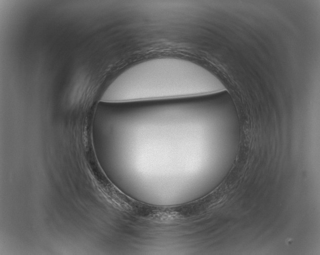 X0000083650642200702120837
