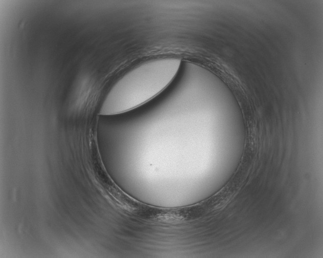 X0000083650644200702120837