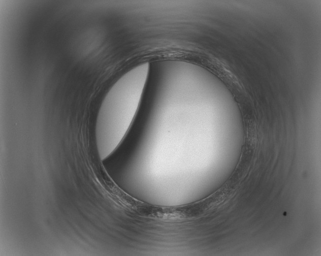 X0000083650645200702120837
