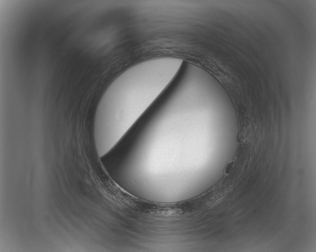 X0000083650646200702120837