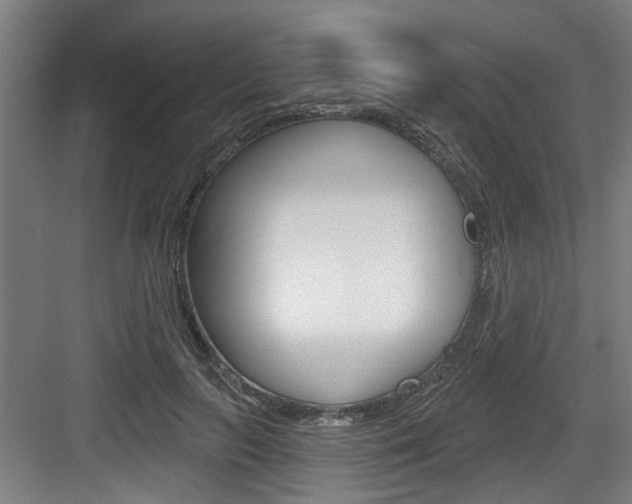 X0000083650647200702120837