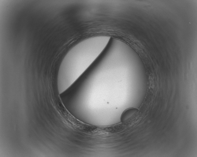X0000083650648200702120837