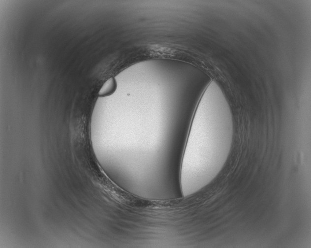 X0000083650649200702120837
