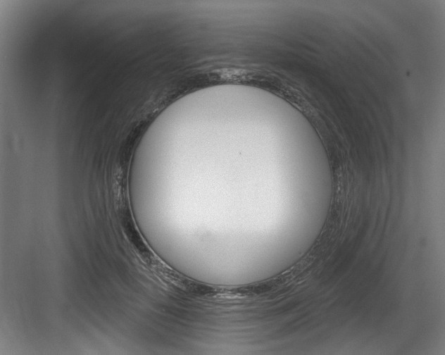 X0000083650650200702120837