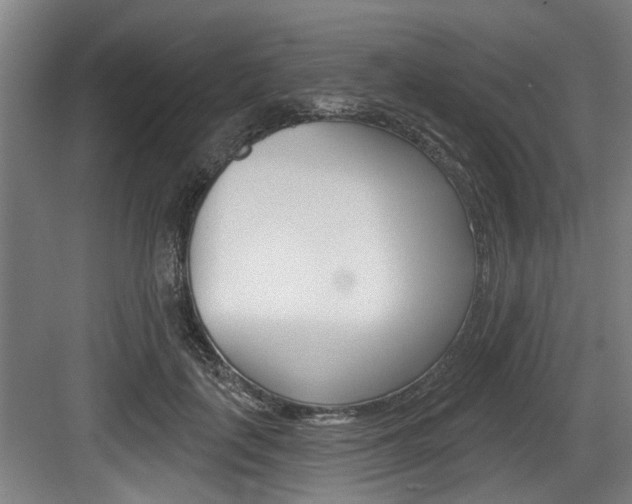X0000083650651200702120837