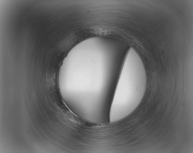 X0000083650652200702120837
