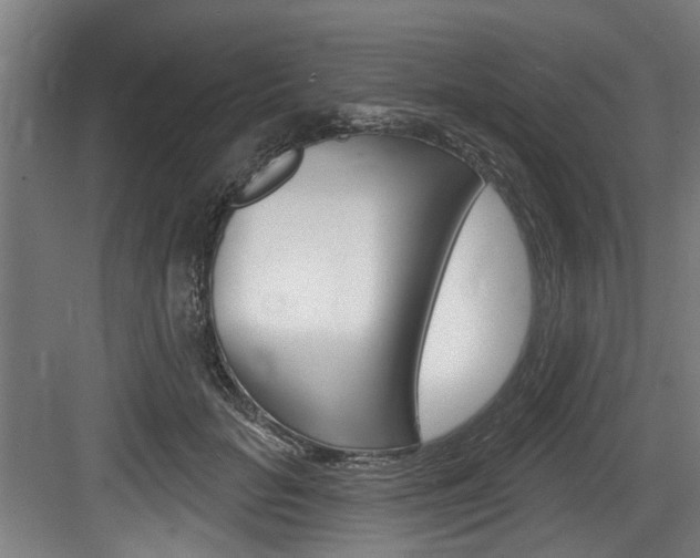X0000083650653200702120837