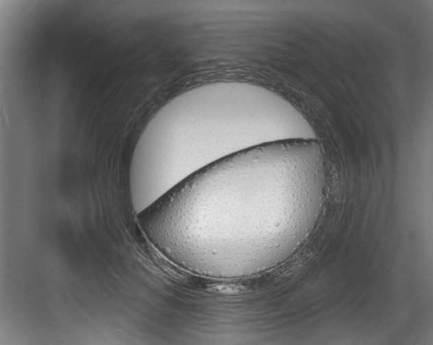 X0000083650654200702120837