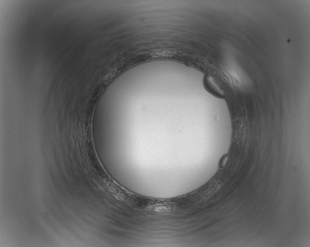 X0000083650655200702120837