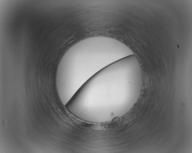 X0000083650656200702120837