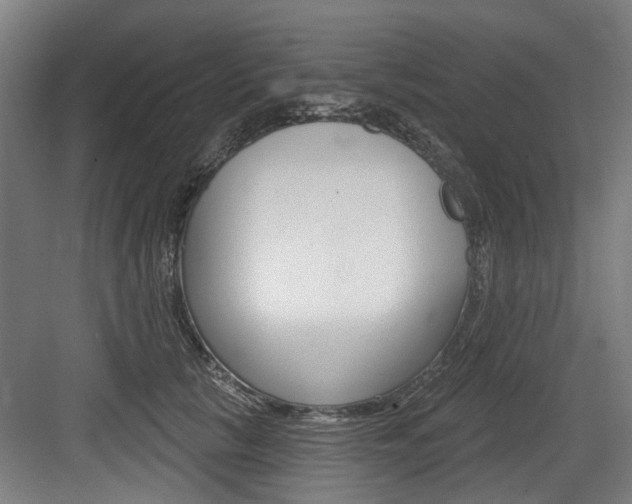 X0000083650657200702120837