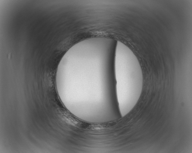 X0000083650658200702120837