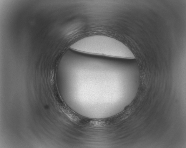 X0000083650660200702120837