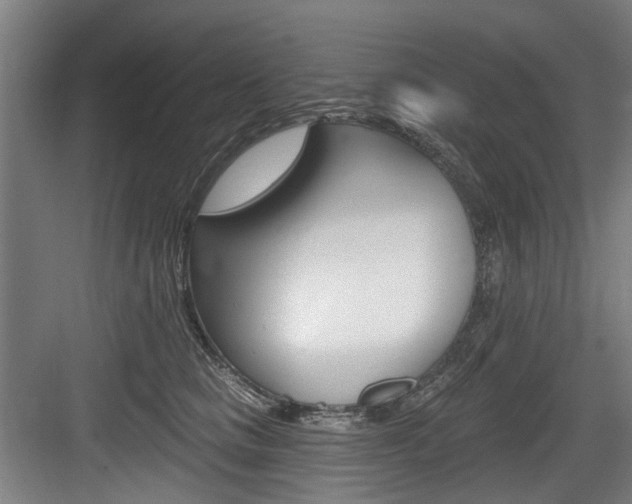 X0000083650661200702120837
