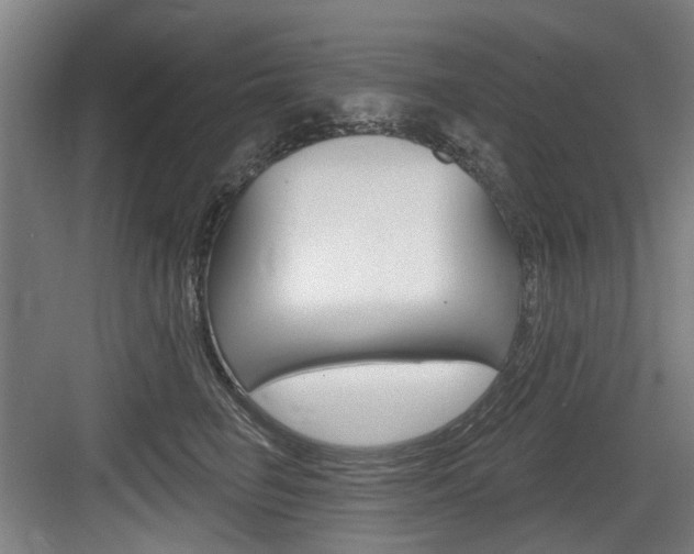 X0000083650662200702120837