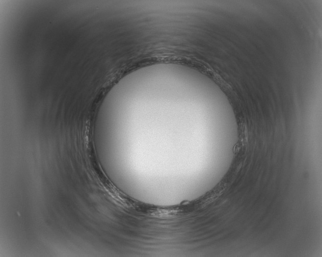 X0000083650664200702120838