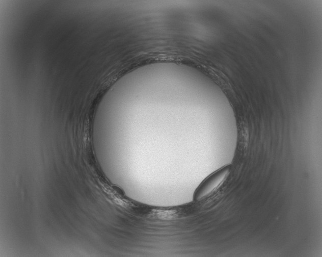 X0000083650665200702120838