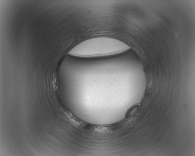X0000083650669200702120838