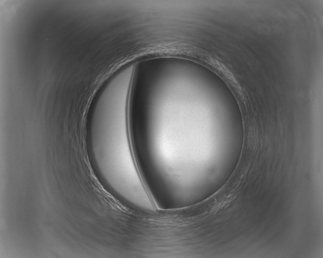 X0000083650673200702120837