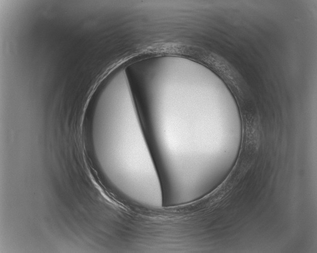 X0000083650674200702120837