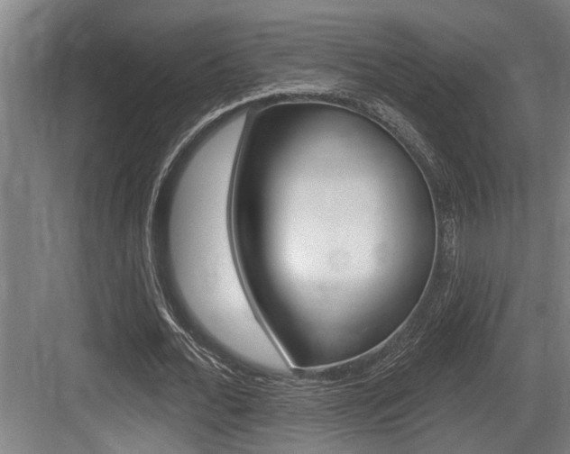 X0000083650676200702120837