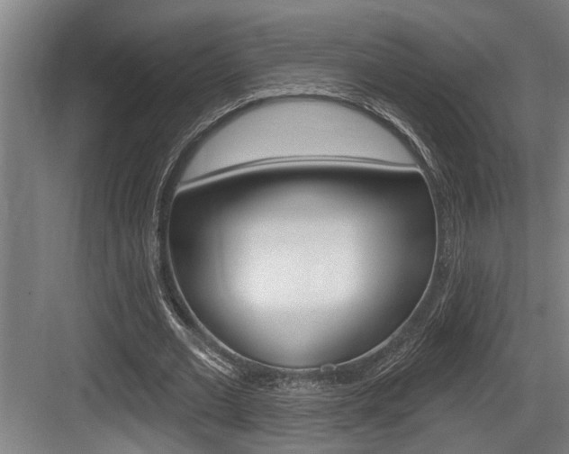 X0000083650677200702120837