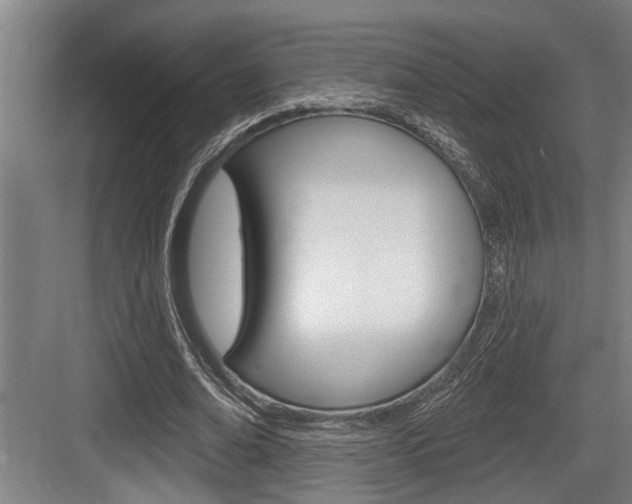 X0000083650678200702120837