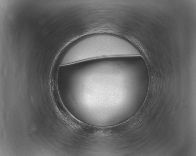 X0000083650680200702120837