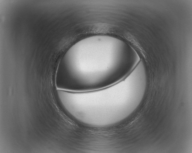 X0000083650681200702120837