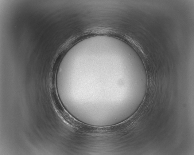 X0000083650682200702120837