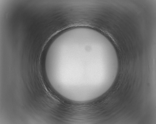 X0000083650684200702120837