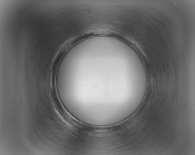 X0000083650686200702120837