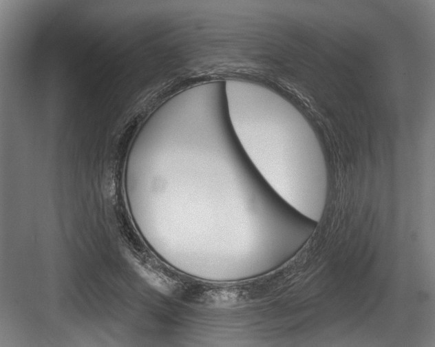 X0000083650687200702120837