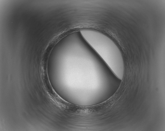 X0000083650688200702120837