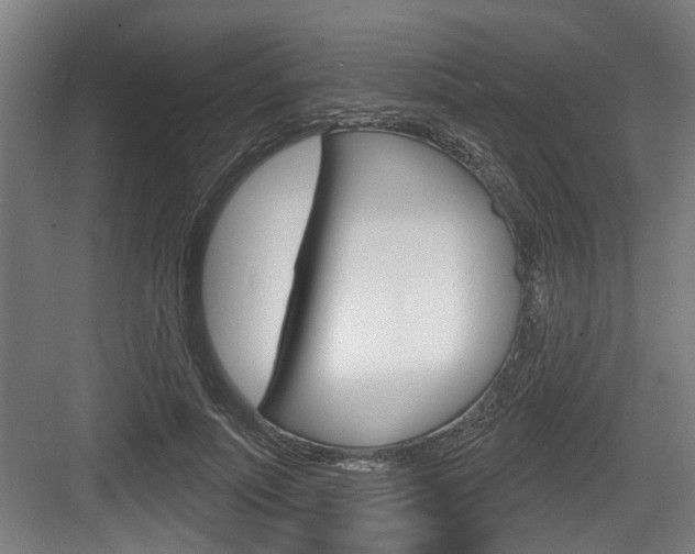 X0000083650691200702120837