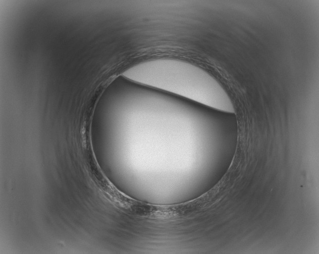 X0000083650696200702120836