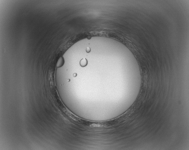 X0000083650699200702120836