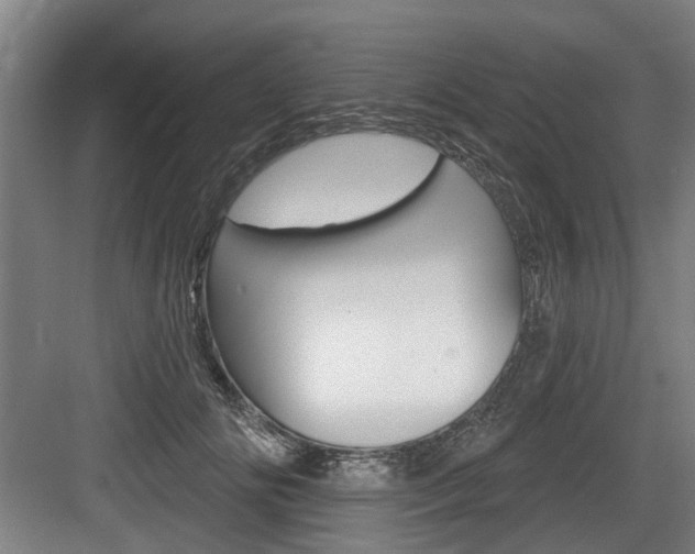 X0000083650702200702120836