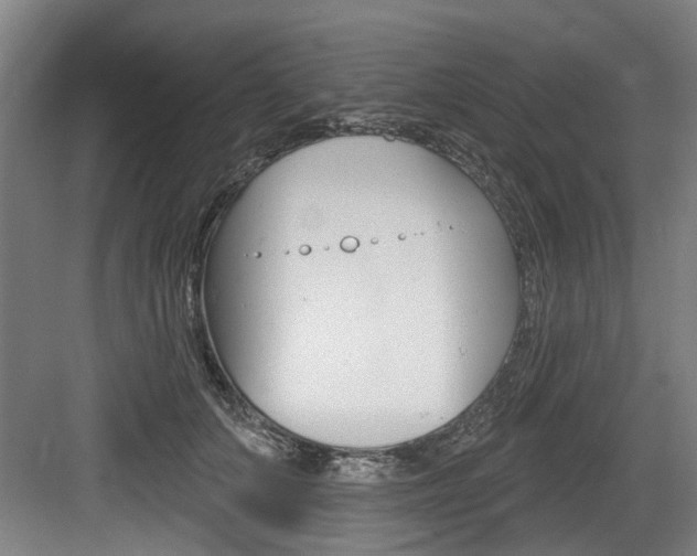 X0000083650703200702120836