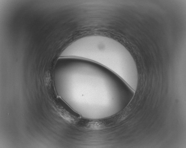 X0000083650704200702120836