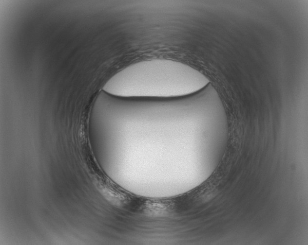 X0000083650706200702120836