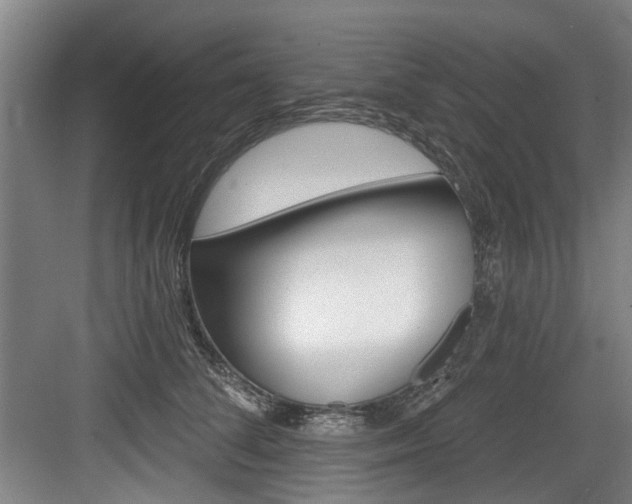 X0000083650708200702120836