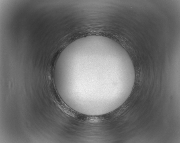X0000083650710200702120836
