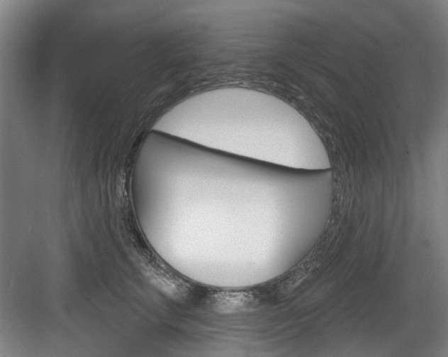 X0000083650711200702120836