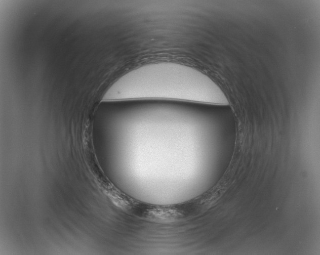 X0000083650712200702120836