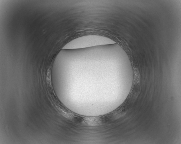 X0000083650713200702120836