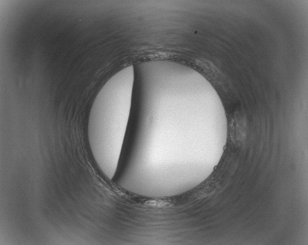 X0000083650714200702120836