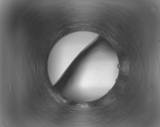 X0000083650715200702120836