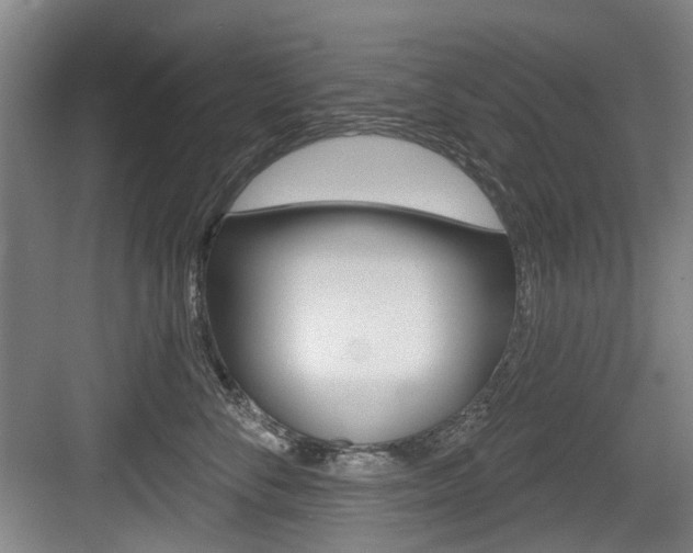X0000083650716200702120836