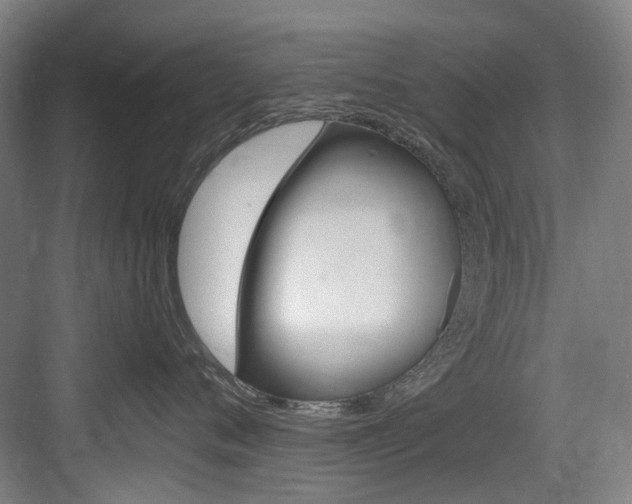 X0000083650720200702120836